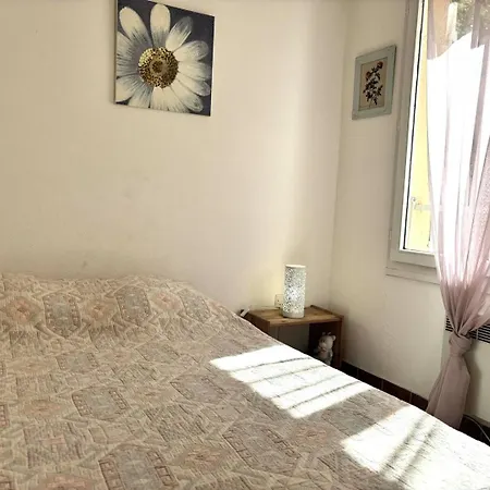 Apartmán Hye680-a26 T3 Rez De Jardin 4 Personnes *