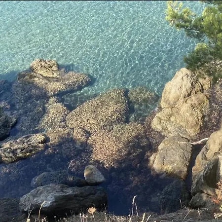 Hye680-a26 T3 Rez De Jardin 4 Personnes Hyères