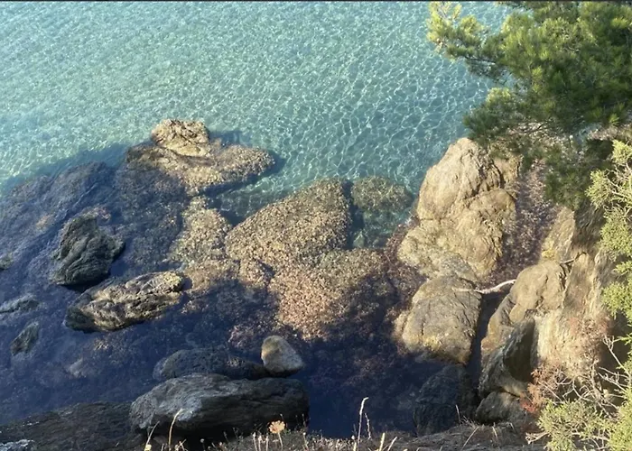 Hye400-a26 T3 Rez De Jardin 4 Personnes Hyères